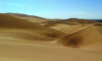 Quê hương quá cố – truyền thuyết sa mạc Taklamakan